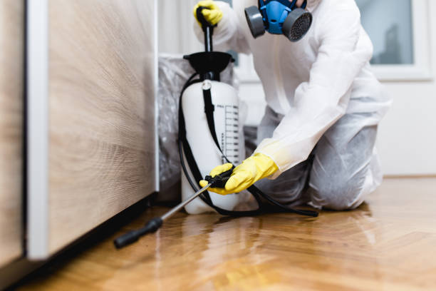 Best Wasp Removal Services  in Minnetrista, MN