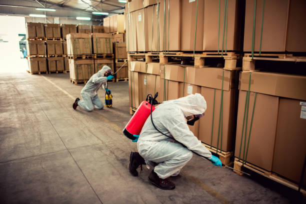 Best Pest Removal Services  in Minnetrista, MN