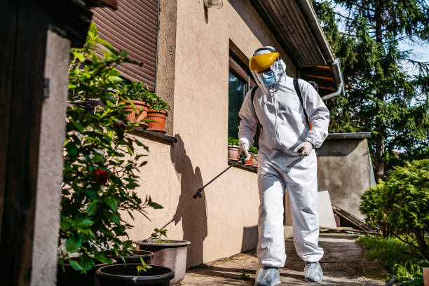 Best Flea Control Services  in Minnetrista, MN