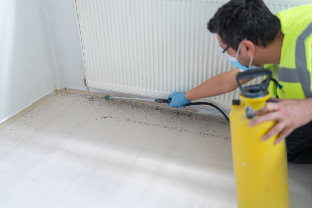 Flea Control Services in Minnetrista, MN
