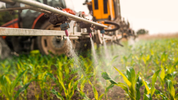 Best Wildlife Control Services  in Minnetrista, MN